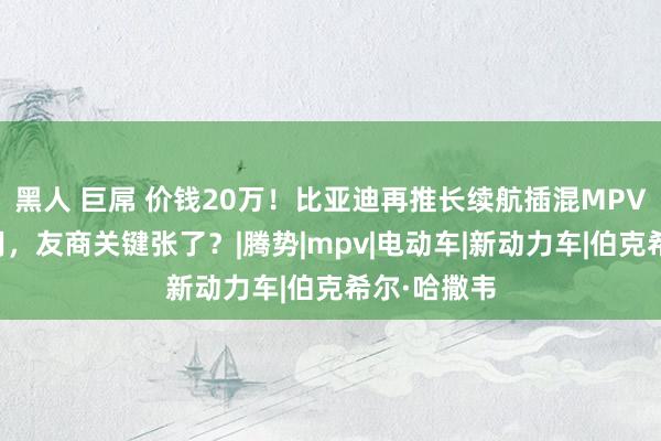 黑人 巨屌 价钱20万！比亚迪再推长续航插混MPV，主打家用，友商关键张了？|腾势|mpv|电动车|新动力车|伯克希尔·哈撒韦