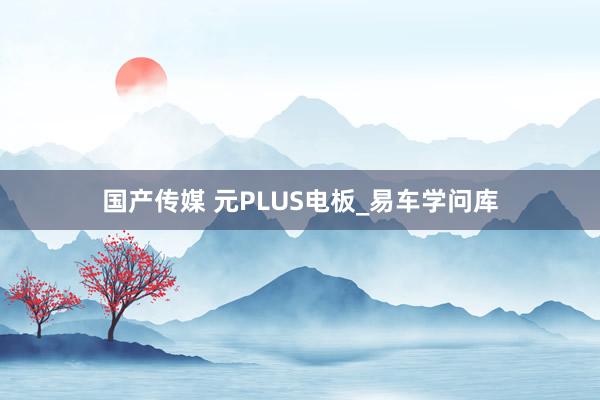 国产传媒 元PLUS电板_易车学问库