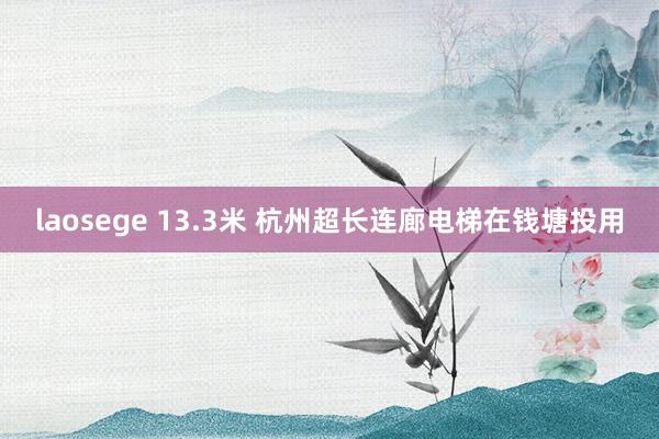 laosege 13.3米 杭州超长连廊电梯在钱塘投用