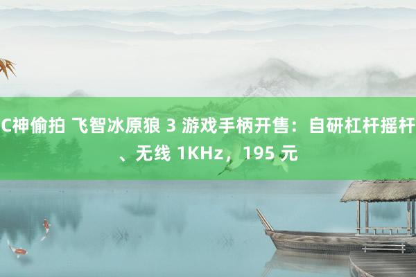 C神偷拍 飞智冰原狼 3 游戏手柄开售：自研杠杆摇杆、无线 1KHz，195 元