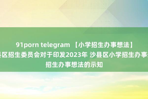 91porn telegram 【小学招生办事想法】三明市沙县区招生委员会对于印发2023年 沙县区小学招生办事想法的示知