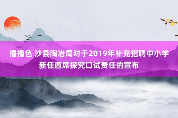 撸撸色 沙县陶冶局对于2019年补充招聘中小学新任西席探究口试责任的宣布